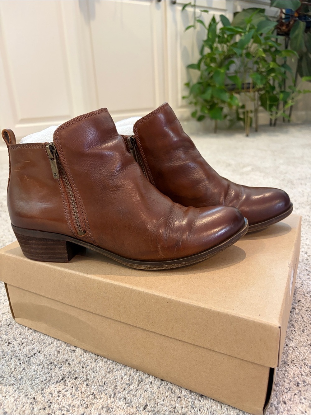 Lucky Brand Brown Leather Ankle Booties with Side Zips